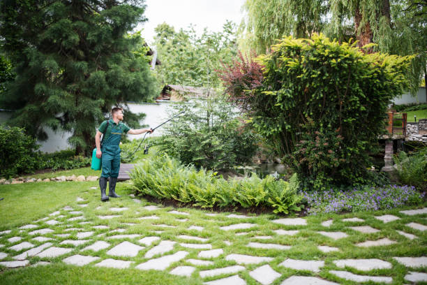 Best Tree Maintenance Programs  in Poth, TX