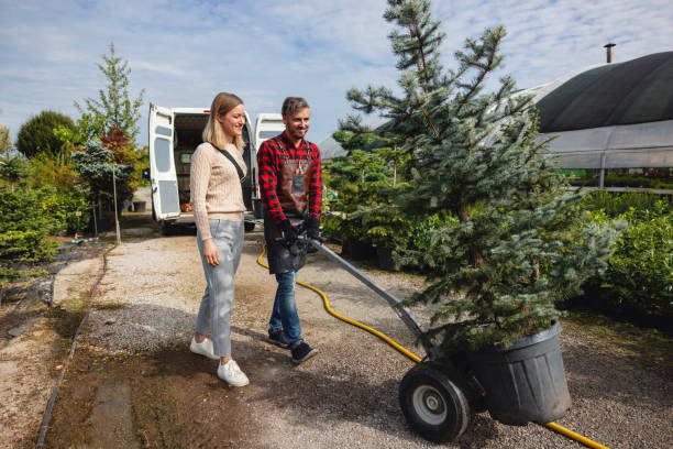 Best Tree Risk Assessment  in Poth, TX
